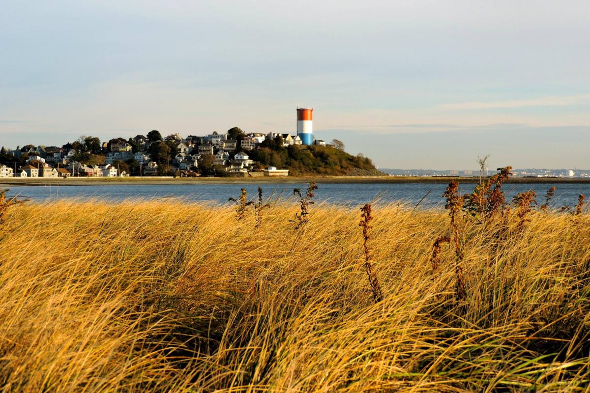 Whispering wind of Winthrop